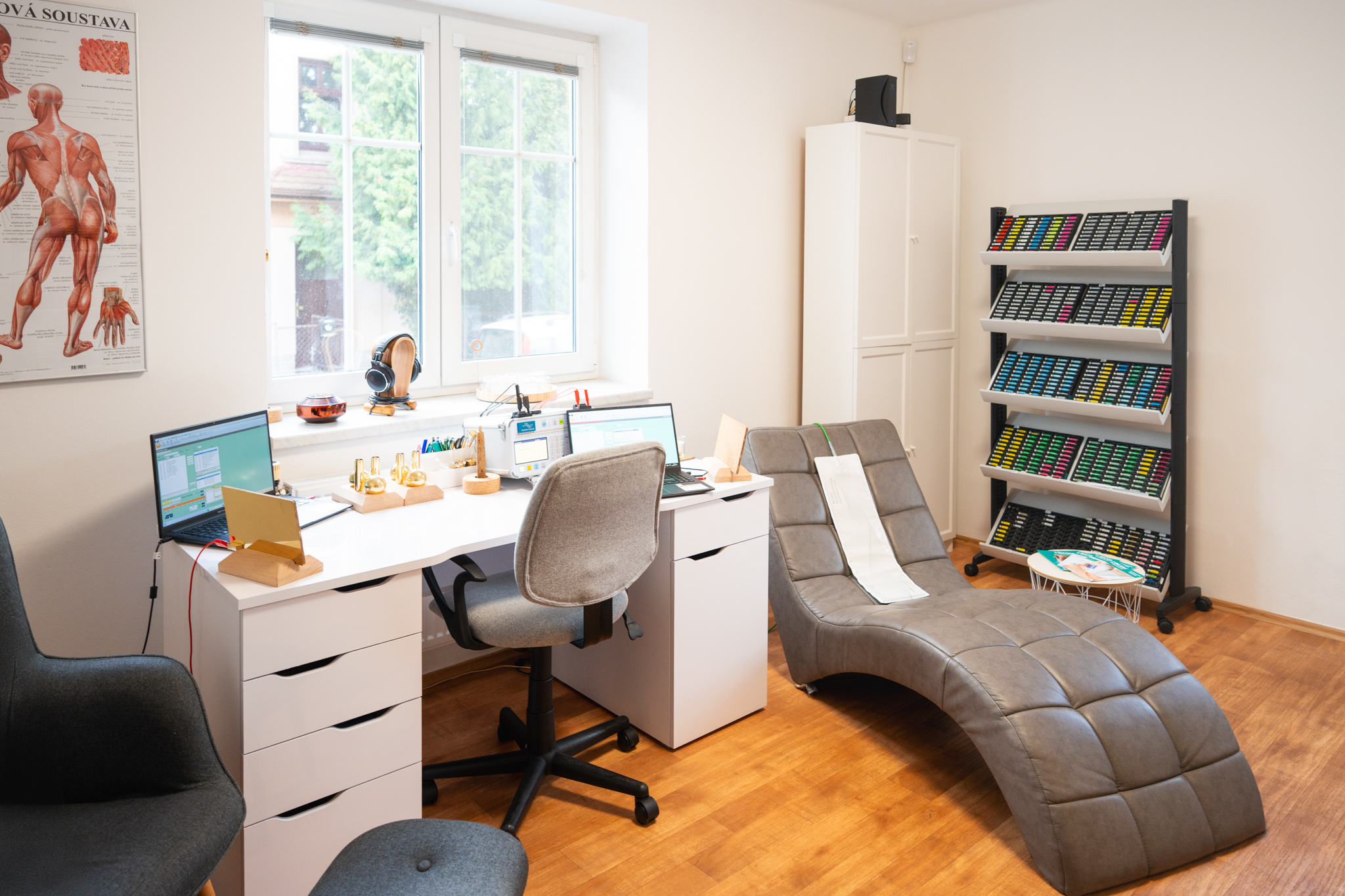 Biorezonanční terapie